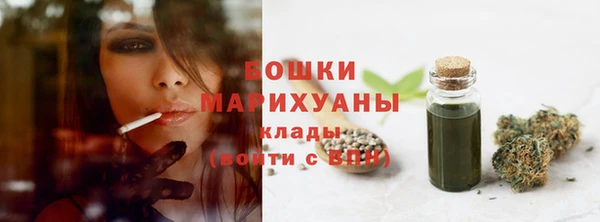 крисы Баксан