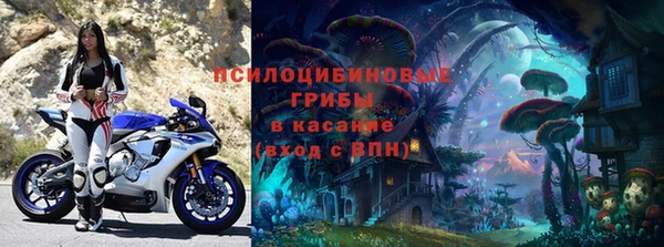крисы Баксан