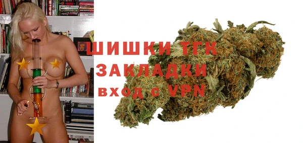 крисы Баксан